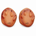 Anterior Foot of Rabbit
